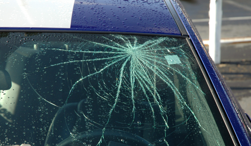 Windshields1